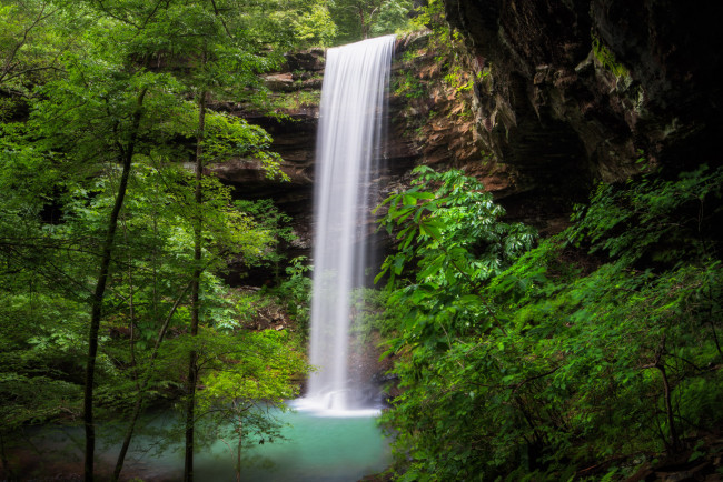 Обои картинки фото природа, водопады, водопад, река, лес