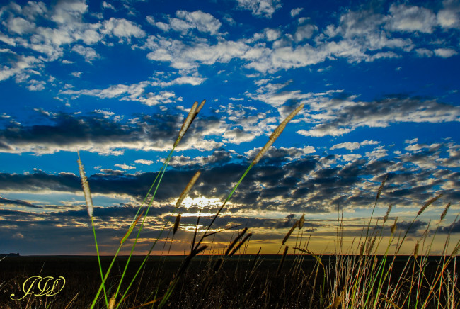 Обои картинки фото природа, восходы, закаты, камыш, облака, небо