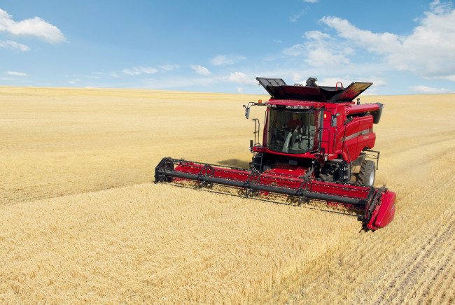 Обои картинки фото техника, комбайны, поле, жатва, комбайн