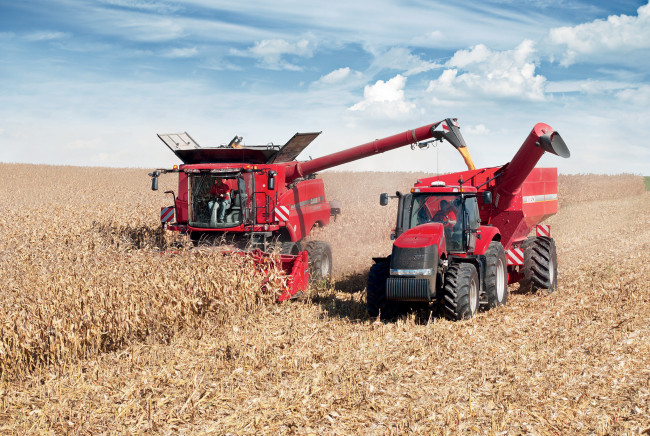 Обои картинки фото техника, комбайны, жатва, комбайн, поле