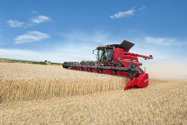 Обои картинки фото техника, комбайны, жатва, комбайн, поле