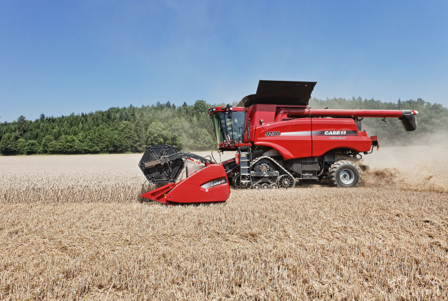 Обои картинки фото техника, комбайны, жатва, комбайн, поле