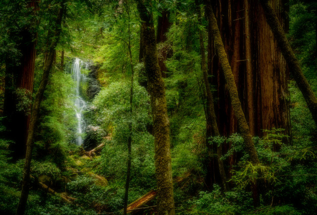 Обои картинки фото природа, водопады, река, лес, водопад