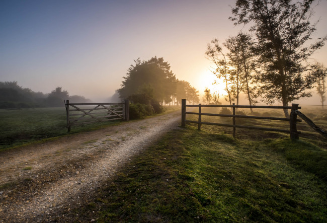Обои картинки фото природа, дороги, поле, изгородь, тракт