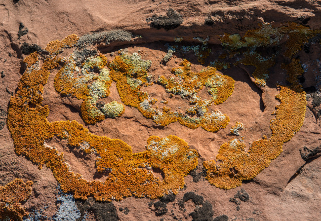 Обои картинки фото природа, макро, камень