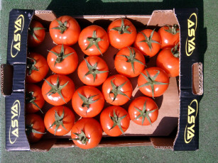 Картинка еда помидоры томаты ящик