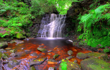 Картинка природа водопады камни папоротник