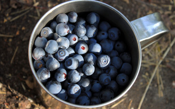 Картинка еда голубика +черника ягоды черника кружка