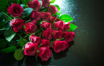 Картинка цветы розы розовые бутоны много