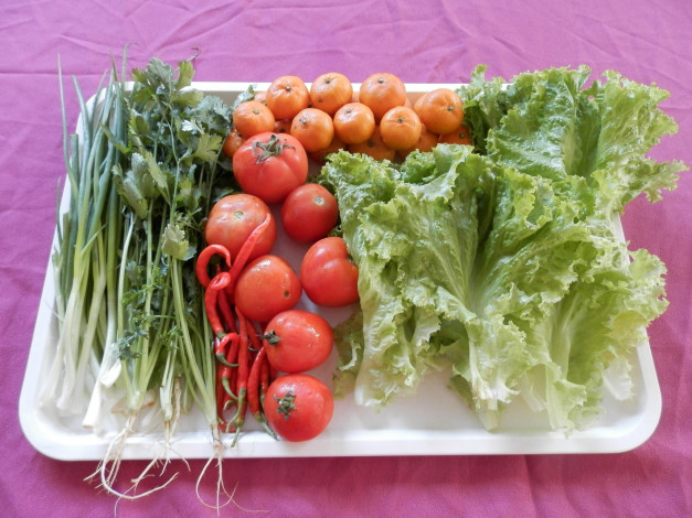 Обои картинки фото еда, фрукты и овощи вместе, снедь