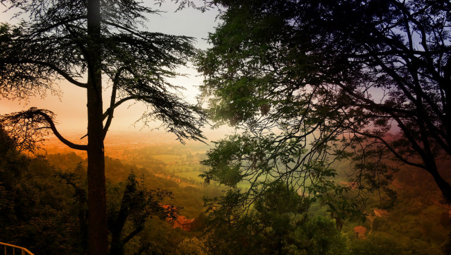 Обои картинки фото природа, пейзажи, кроны