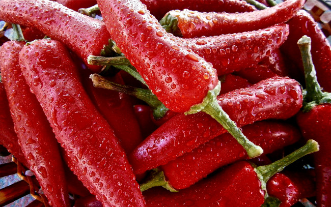 Обои картинки фото еда, перец, капли, острый, красный