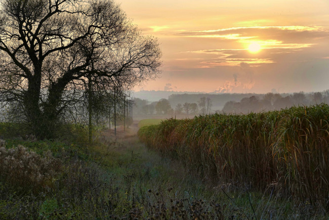 Обои картинки фото природа, пейзажи, вечер