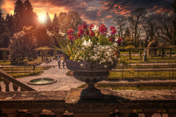 Картинка разное компьютерный+дизайн обработка