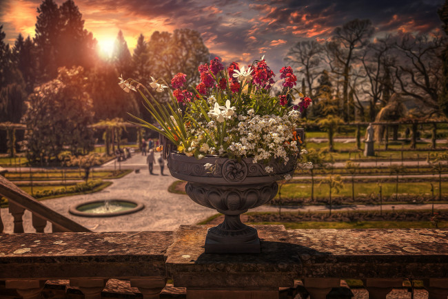 Обои картинки фото разное, компьютерный дизайн, обработка