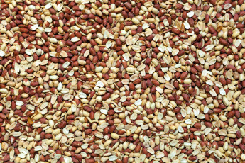 Картинка еда орехи +каштаны +какао-бобы арахис