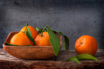 Картинка еда цитрусы снедь