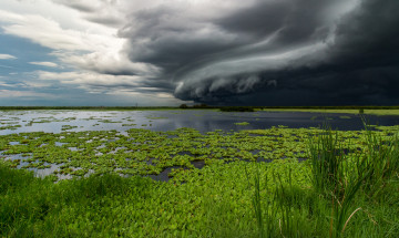 Картинка природа стихия простор