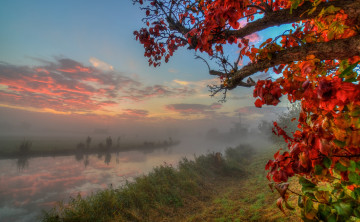 Картинка природа реки озера простор