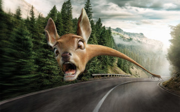 Картинка юмор+и+приколы опасность страх дорога