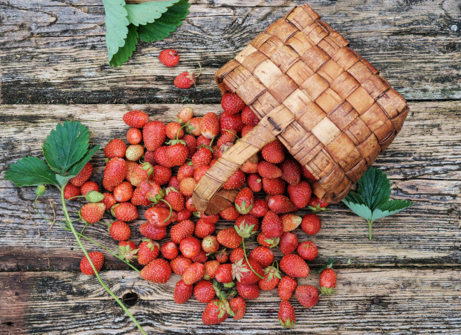 Обои картинки фото еда, клубника,  земляника, ягоды, земляника, корзина