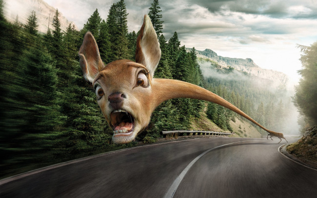 Обои картинки фото юмор и приколы, опасность, страх, дорога