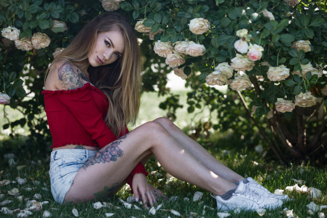 Обои картинки фото девушка, девушки, -unsort , блондинки,  светловолосые, модель