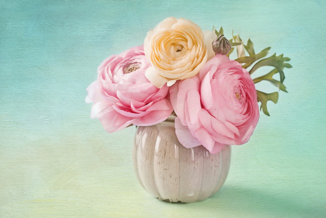 Обои картинки фото цветы, ранункулюс , азиатский лютик, лютики, букет, ваза