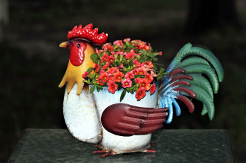 Картинка цветы петунии +калибрахоа калибрахоа