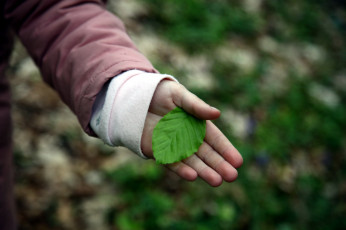 Картинка разное руки +ноги рука лист