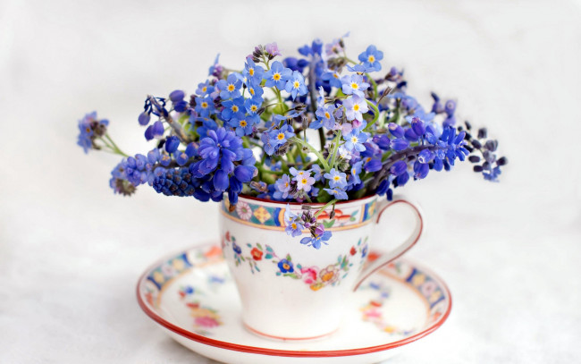 Обои картинки фото цветы, разные вместе, незабудки, мускари, букет