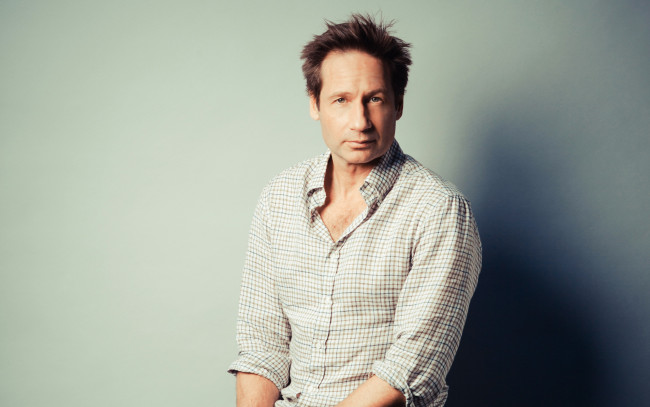 Обои картинки фото мужчины, david duchovny, актер