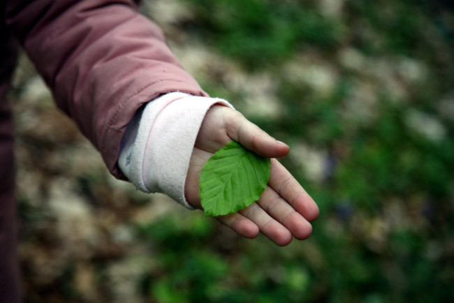 Обои картинки фото разное, руки,  ноги, рука, лист