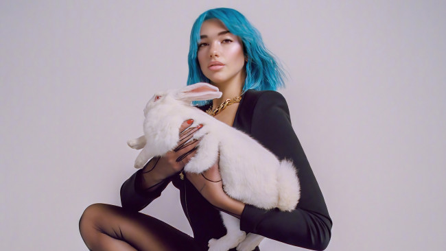 Обои картинки фото dua lipa, музыка, девушка, красивая, супер, секси, няша, нежная, классная, модница, лапочка, мадам
