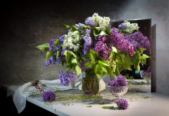 Картинка цветы сирень весна лиловая белая букет зеркало
