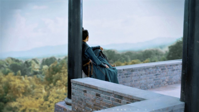 Обои картинки фото кино фильмы, the wolf, цзичун, стена, панорама