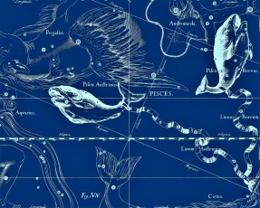 обоя разное, знаки зодиака, рыбы, созвездия