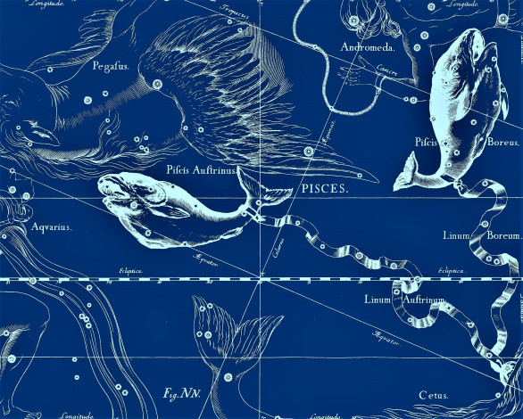 Обои картинки фото разное, знаки зодиака, рыбы, созвездия