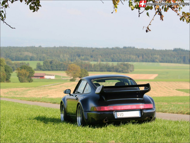 Обои картинки фото автомобили, porsche