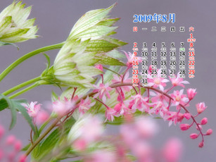 Картинка календари цветы