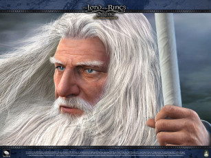 Картинка видео игры the lord of rings online shadows angmar