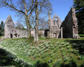 Картинка разное развалины руины металлолом