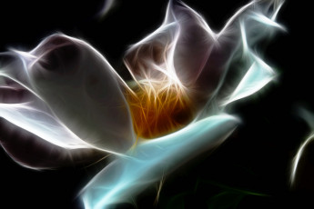 Картинка 3д графика flowers цветы фрактал