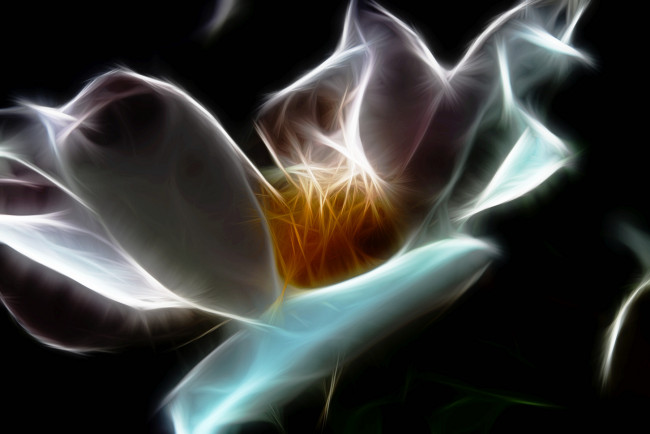 Обои картинки фото 3д, графика, flowers, цветы, фрактал