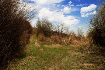 Картинка природа другое облака