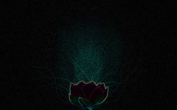 Картинка 3д графика flowers цветы тюьпан