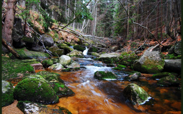 Картинка польша шклярска поремба природа водопады река водопад лес
