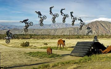 Картинка разное компьютерный дизайн слоны горы