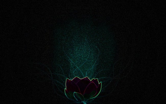 Обои картинки фото 3д, графика, flowers, цветы, тюьпан