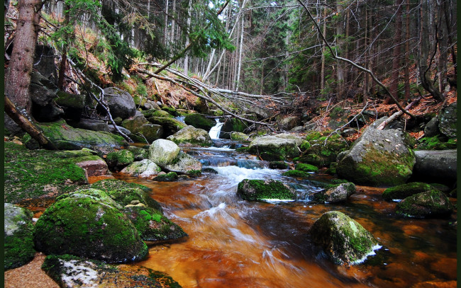 Обои картинки фото польша, шклярска, поремба, природа, водопады, река, водопад, лес